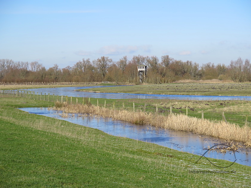 Schanzenturm