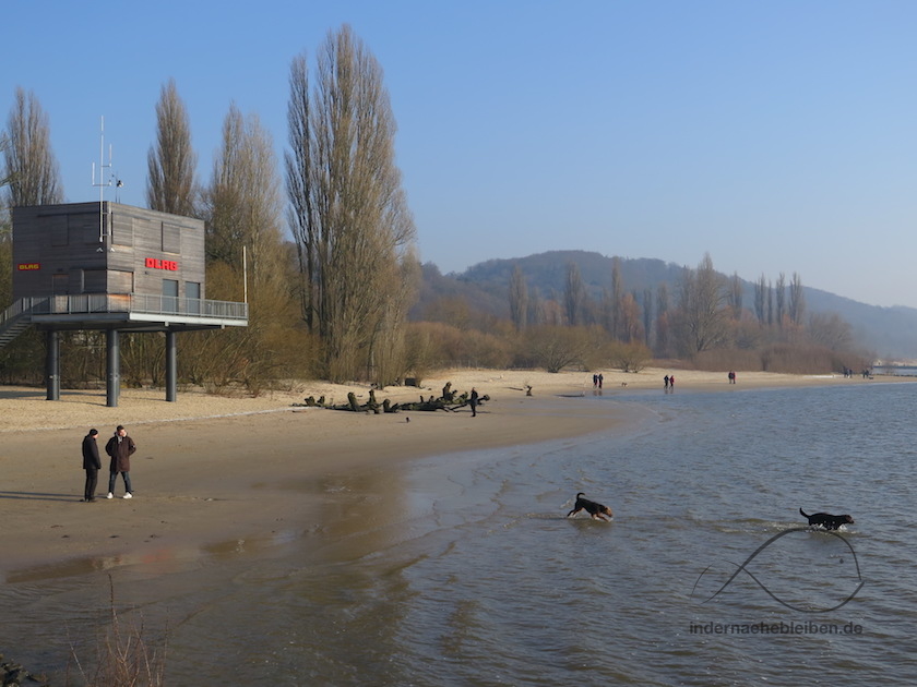 Strand von Wittenbergen