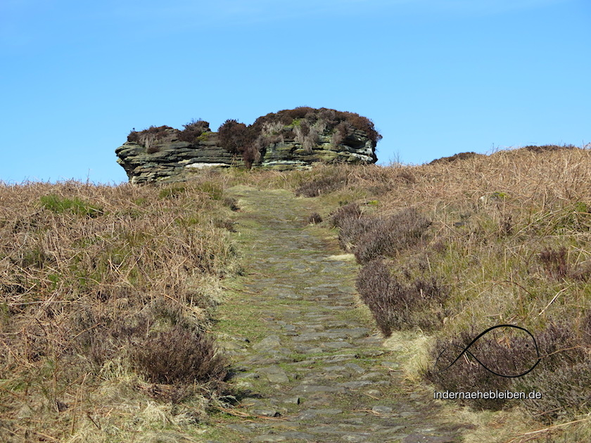 Dalby Forest