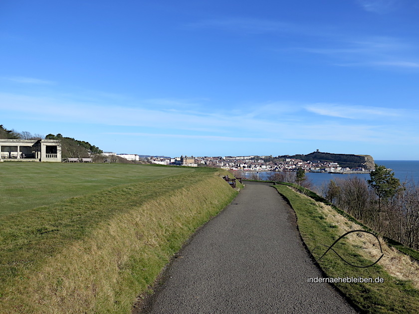 PuttingGreenScarborough