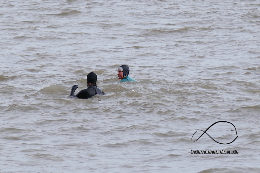 Winterswimmer