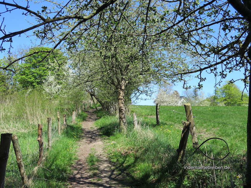 Foerdesteig