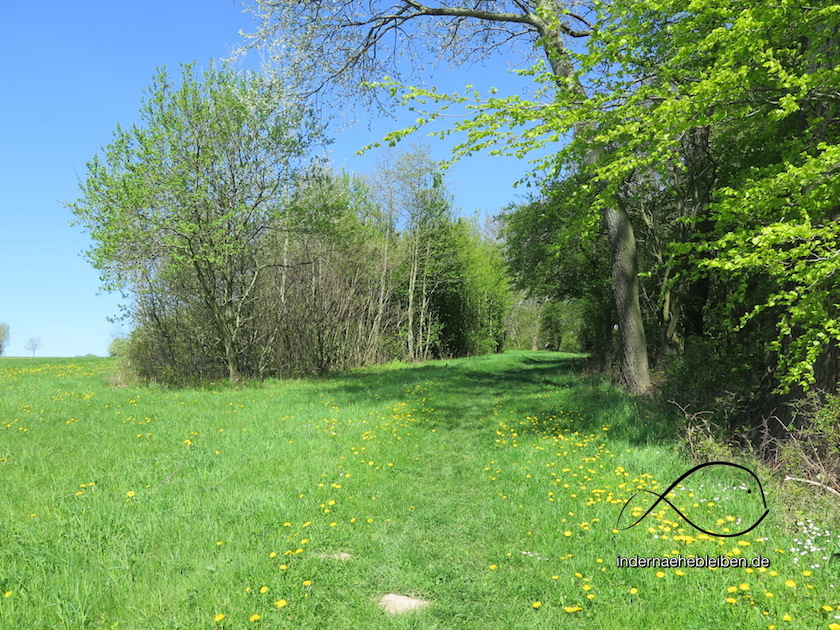 Golfclub Gluecksburg