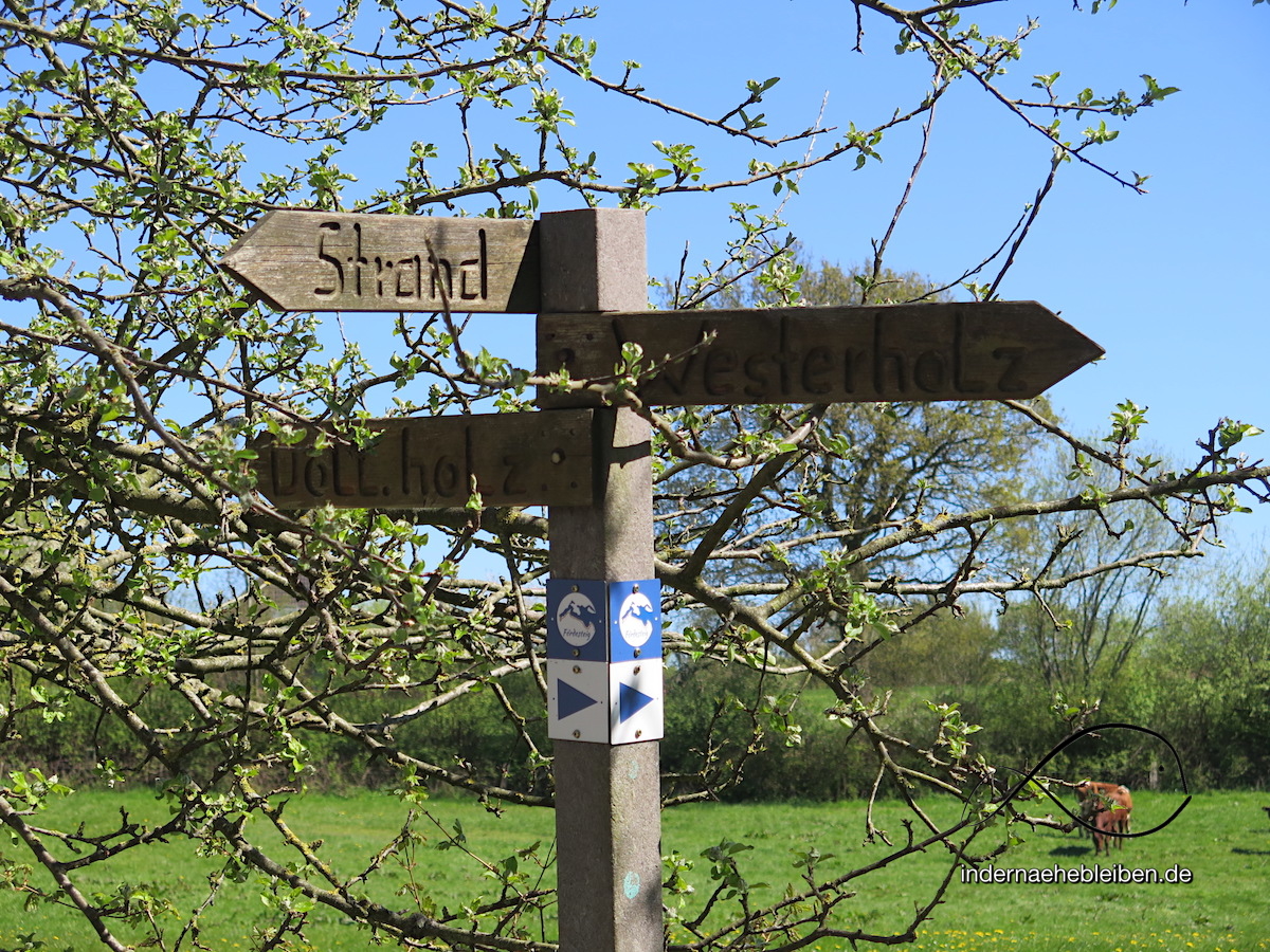 Wandern auf dem Foerdesteig