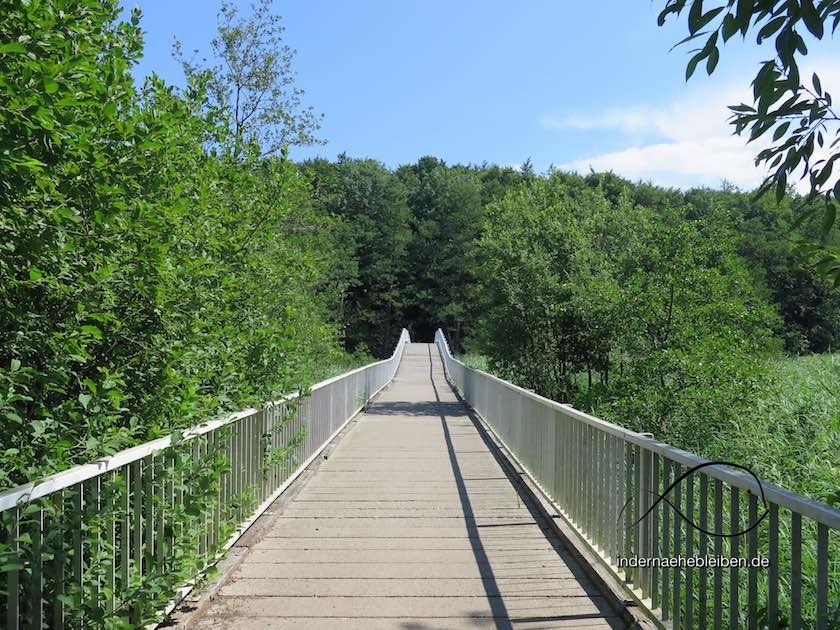Schwentinewanderung