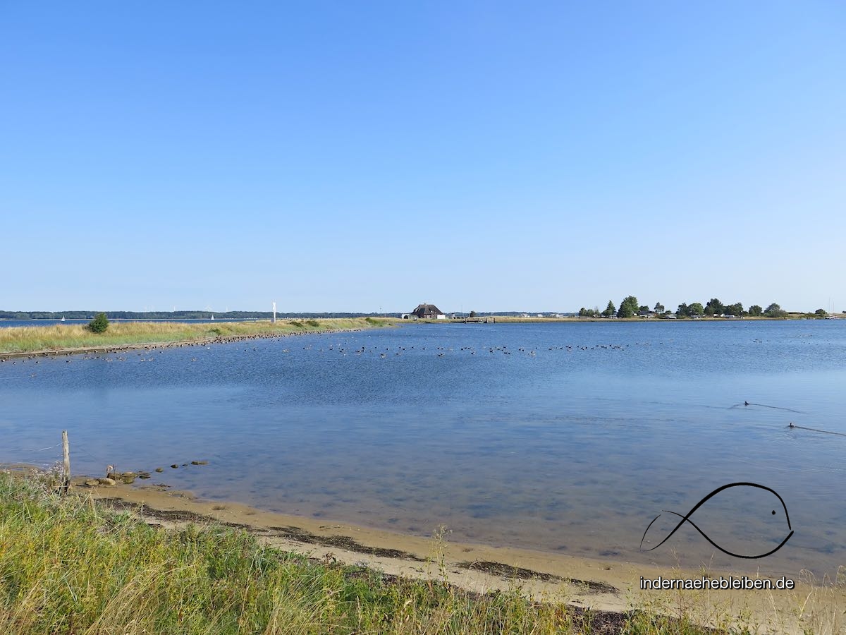 Dirne aus Glücksburg (Ostsee)