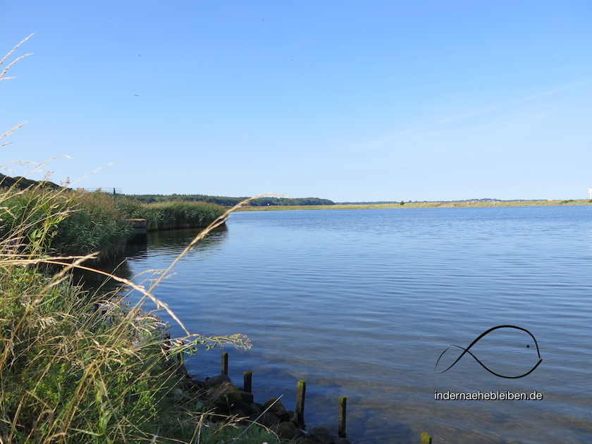 lagune