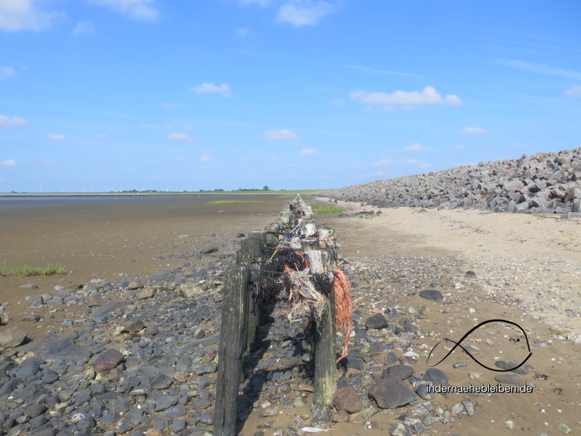 Wattenmeer