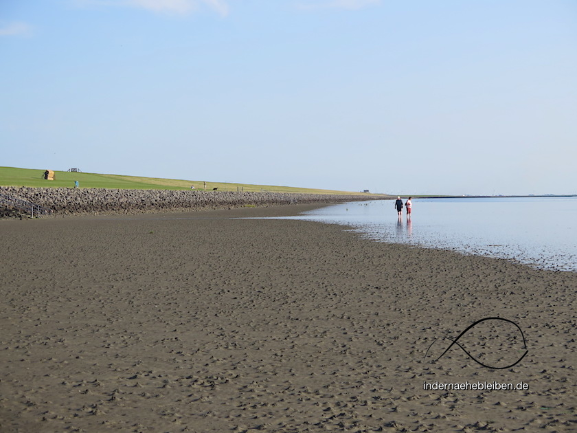 Strandlaeufer
