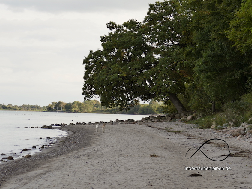 Eiche
