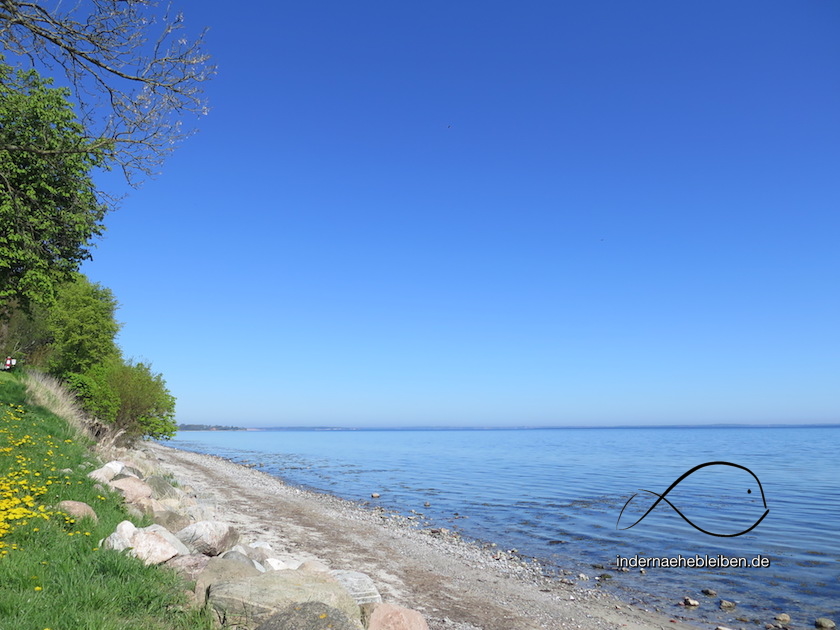 Fruehlingsstrand