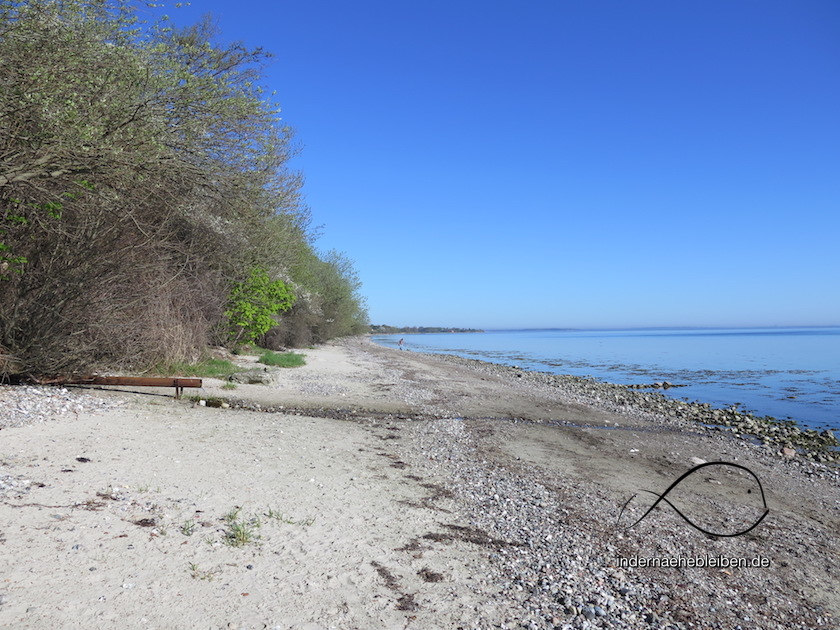 Strand Steinbergahff