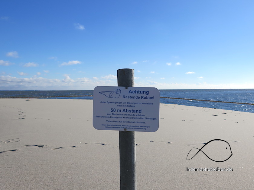 Ellenbogen Sylt