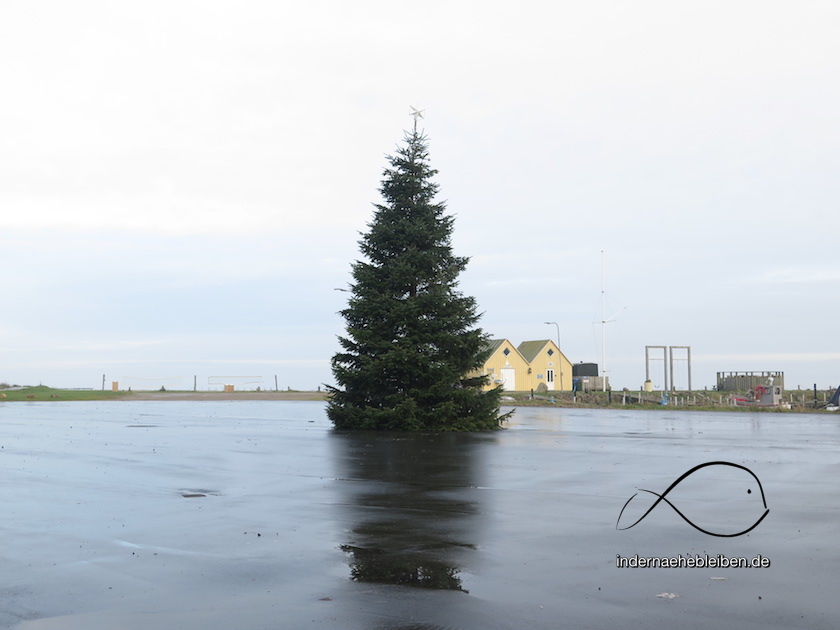 Weihnachtsbaum