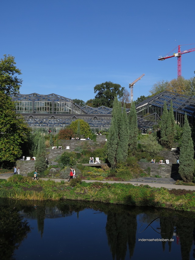 Die Alster. Der Alster. Das Alster.