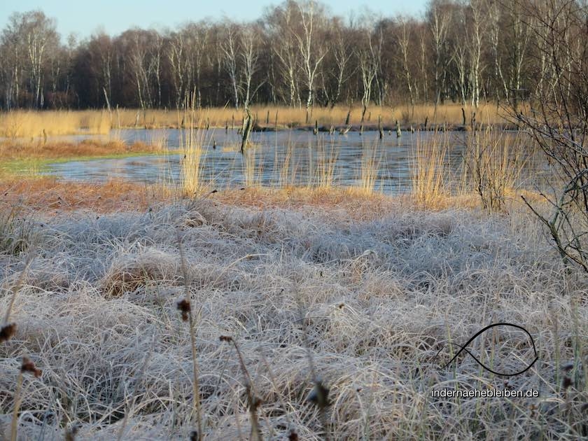 Wittmoor