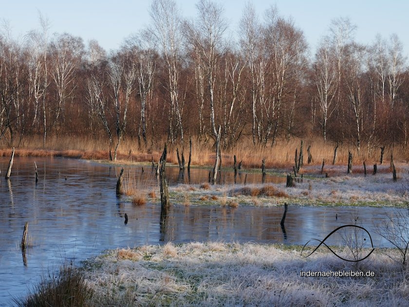 Wittmoor Hamburg