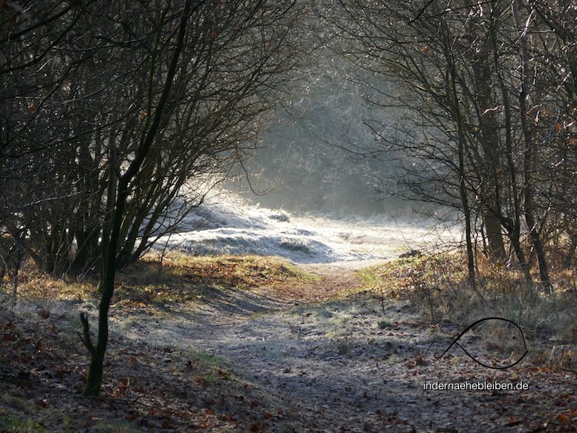 Wittmoor Duvenstedt