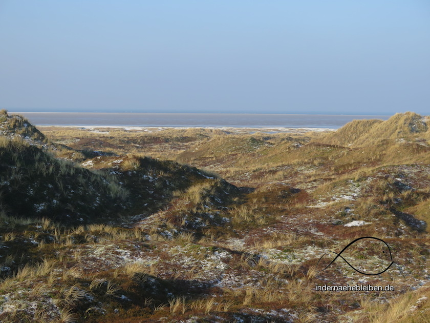 Duenen
