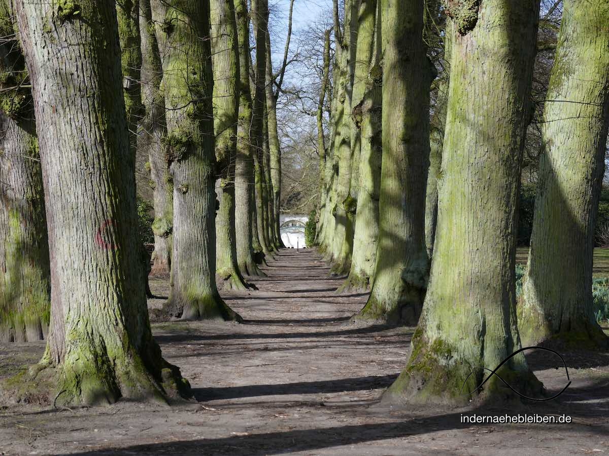 Hamburg Hirschpark