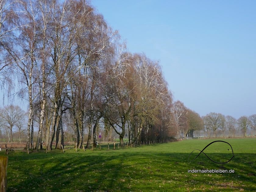 Allee