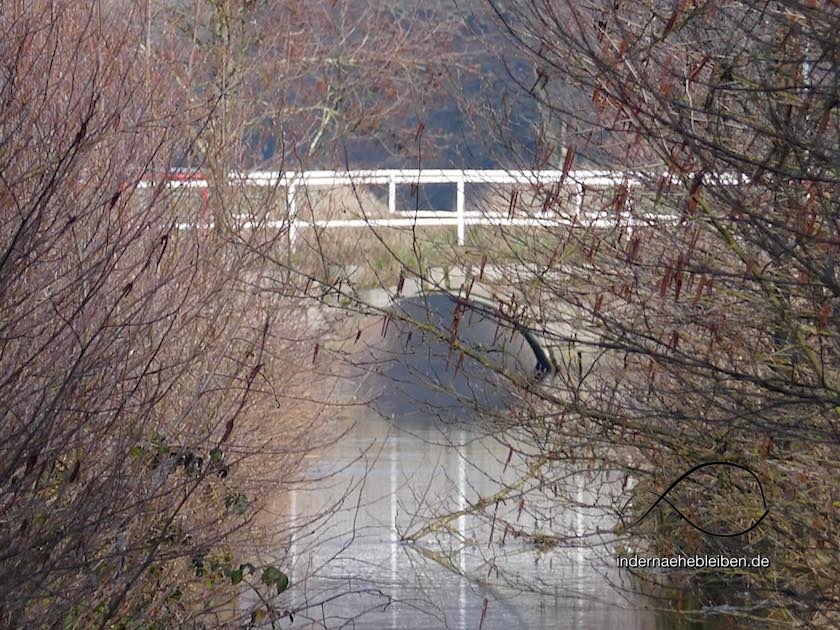 Bruecke