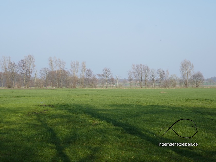 Feld