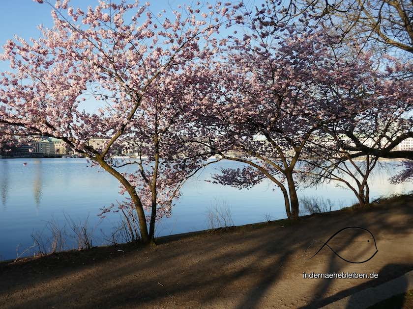 Binnenalster