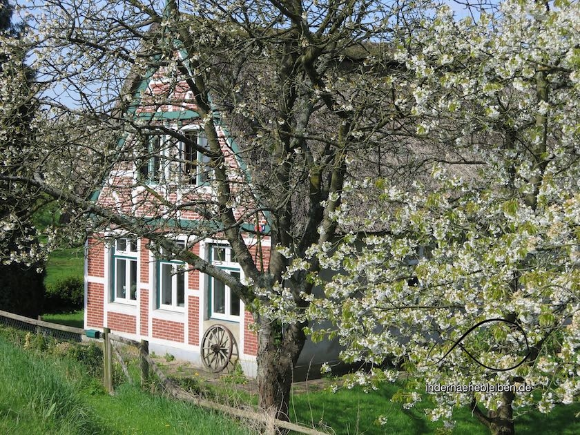 Fachwerkhaus