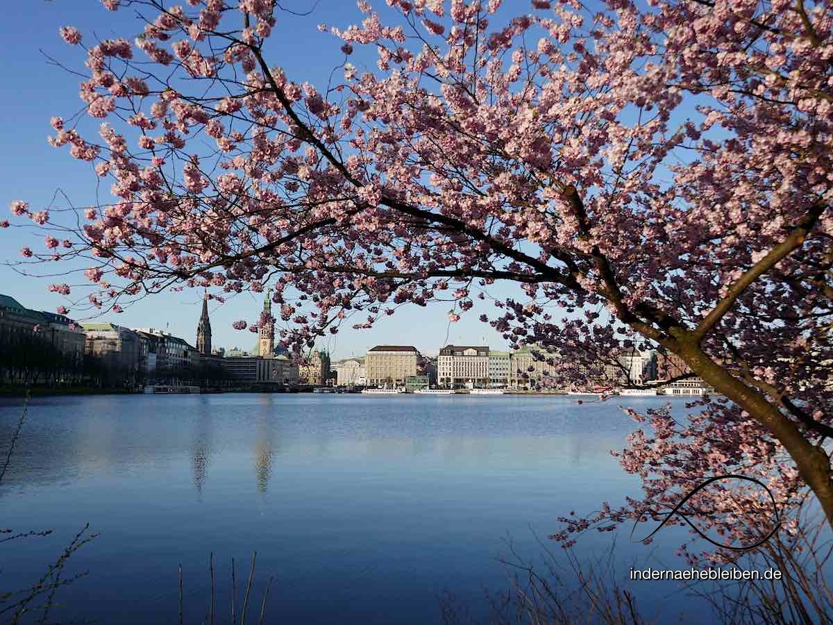 Hamburg Binnenalster
