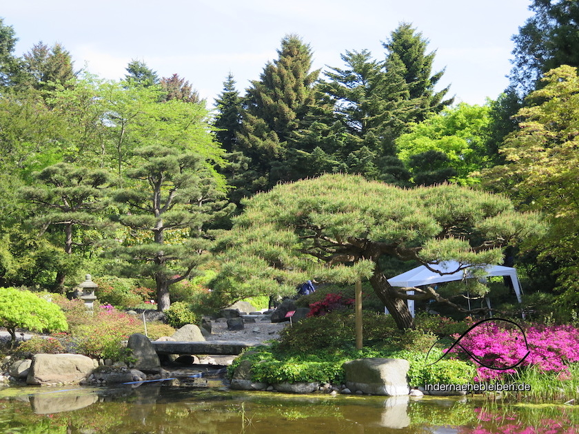 Loki Schmidt Garten