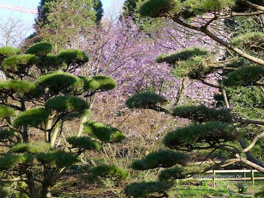 Frühling