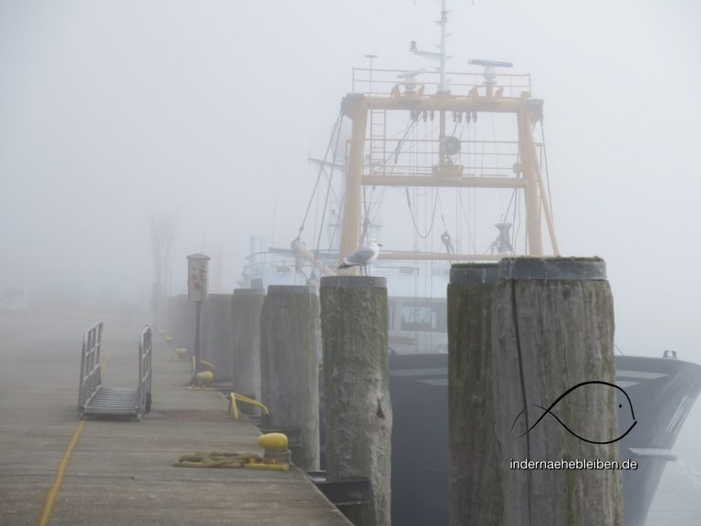 Wandern am Seenebelmeer von Hörnum nach Rantum