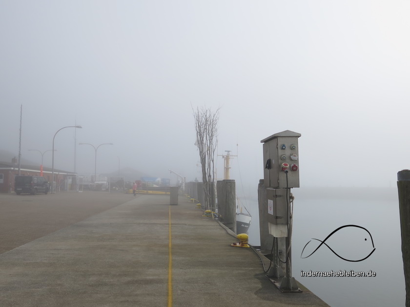Nebel