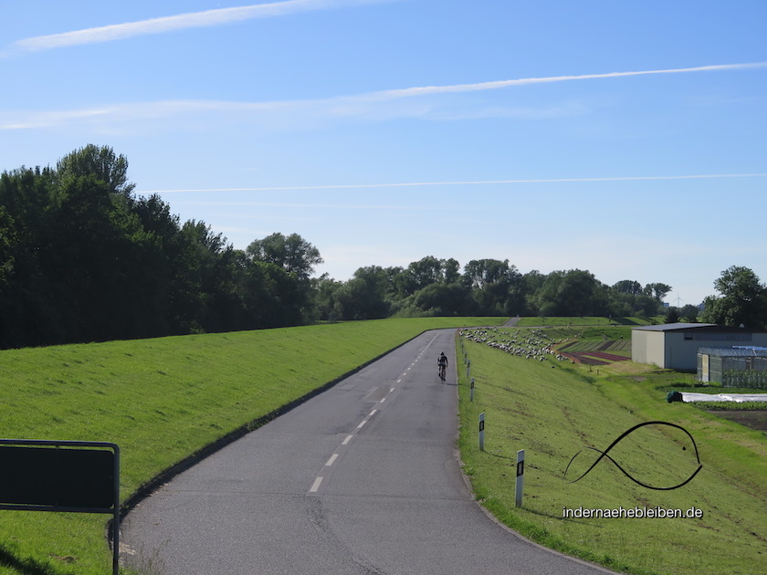 Moorwerder Hauptdeich