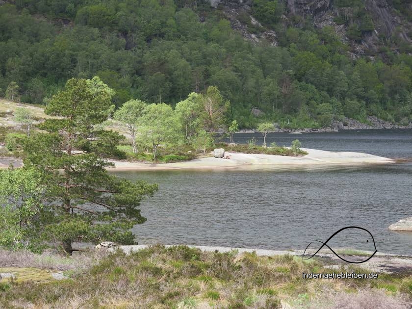 Skrelia Lyngdal