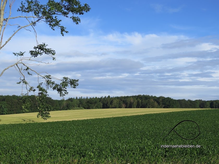 Schwedeneck