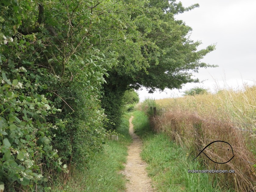 Wandern Surendorf