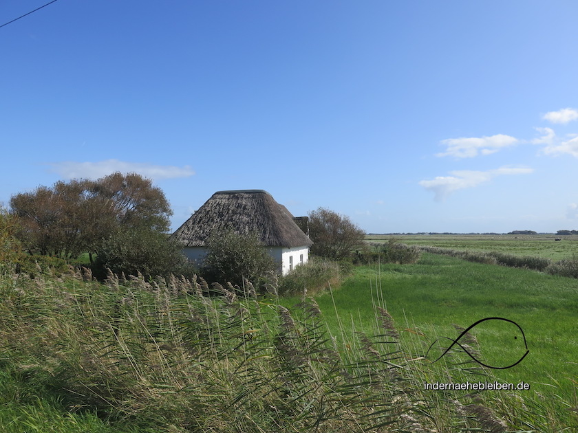 Westerhever
