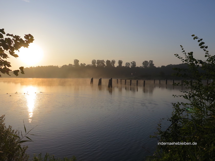 Nebelmorgen