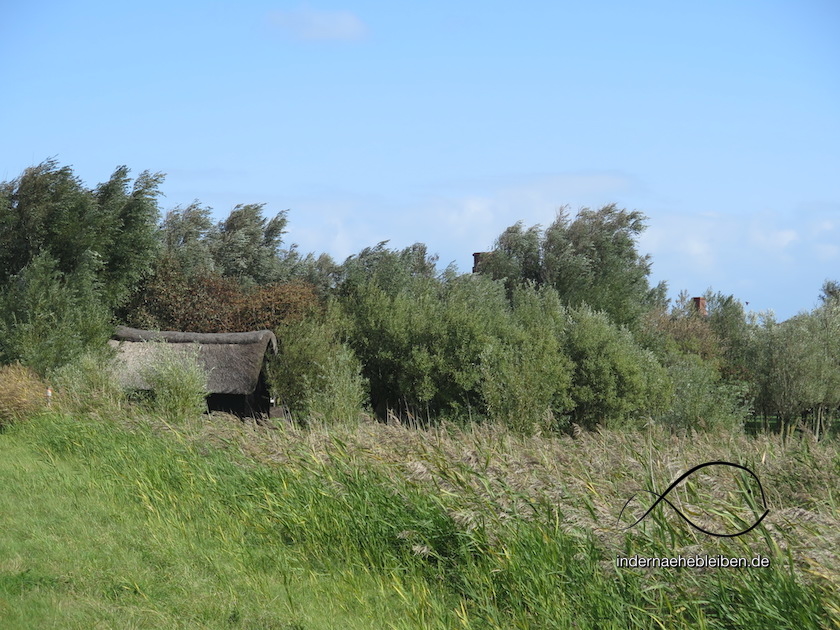 Westerhever