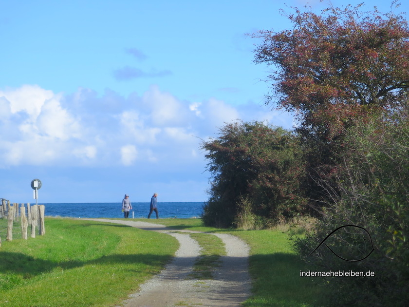 Strandseelandschaft bei Schmoel