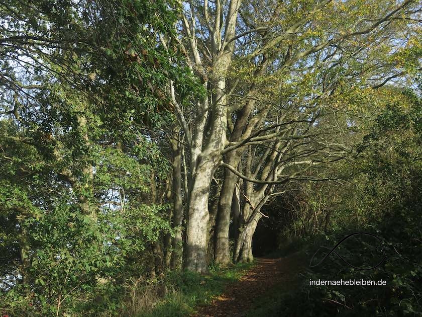 Wanderweg Haithabu