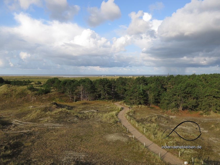 Duenen von St. Peter Ording