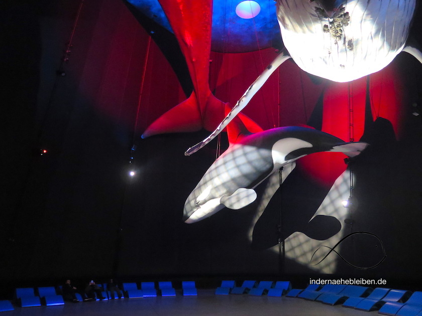 Multimedia Ozeaneum