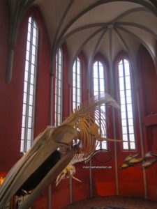 Meeresmuseum