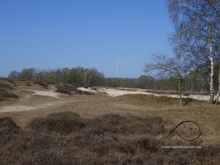 Heide Boberger Dünen