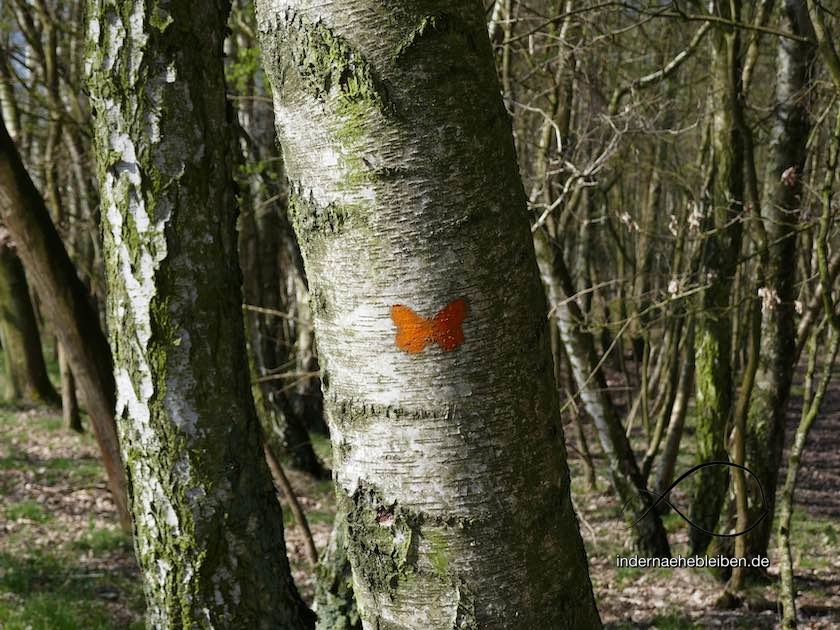 Wandern Boberger Duenen