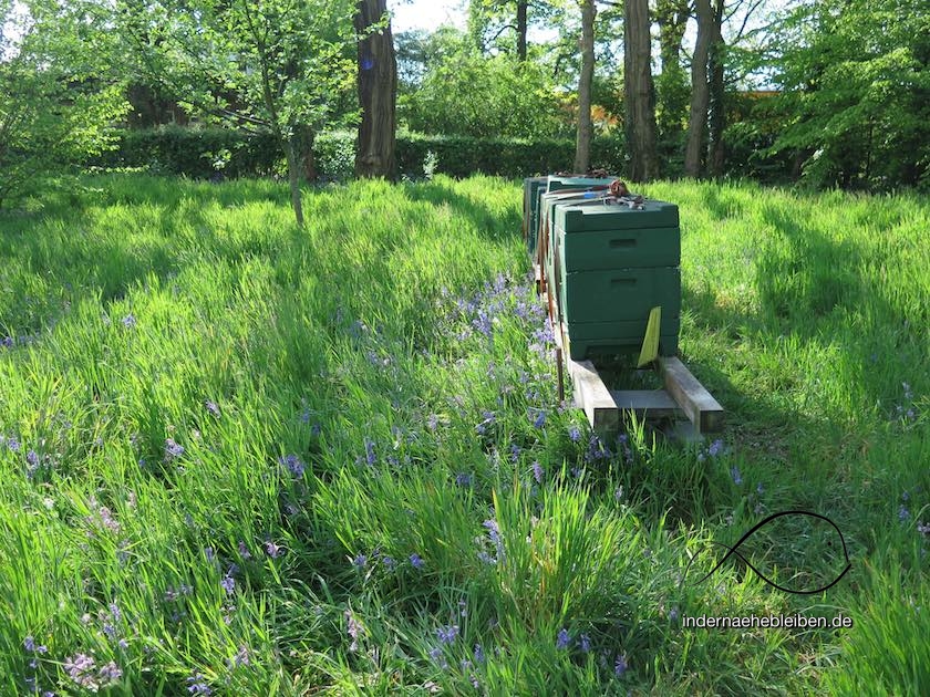 Bienenstock