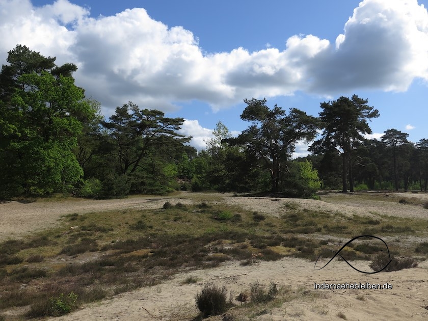 Holmer Sandberge